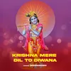 Krishna Mere Dil To Diwana